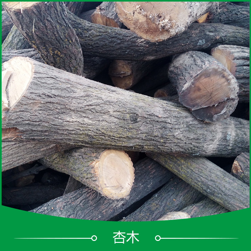 供应用于工艺品|装修建材的菏泽杏木、山东优质大径果木|杏木原木批发图片