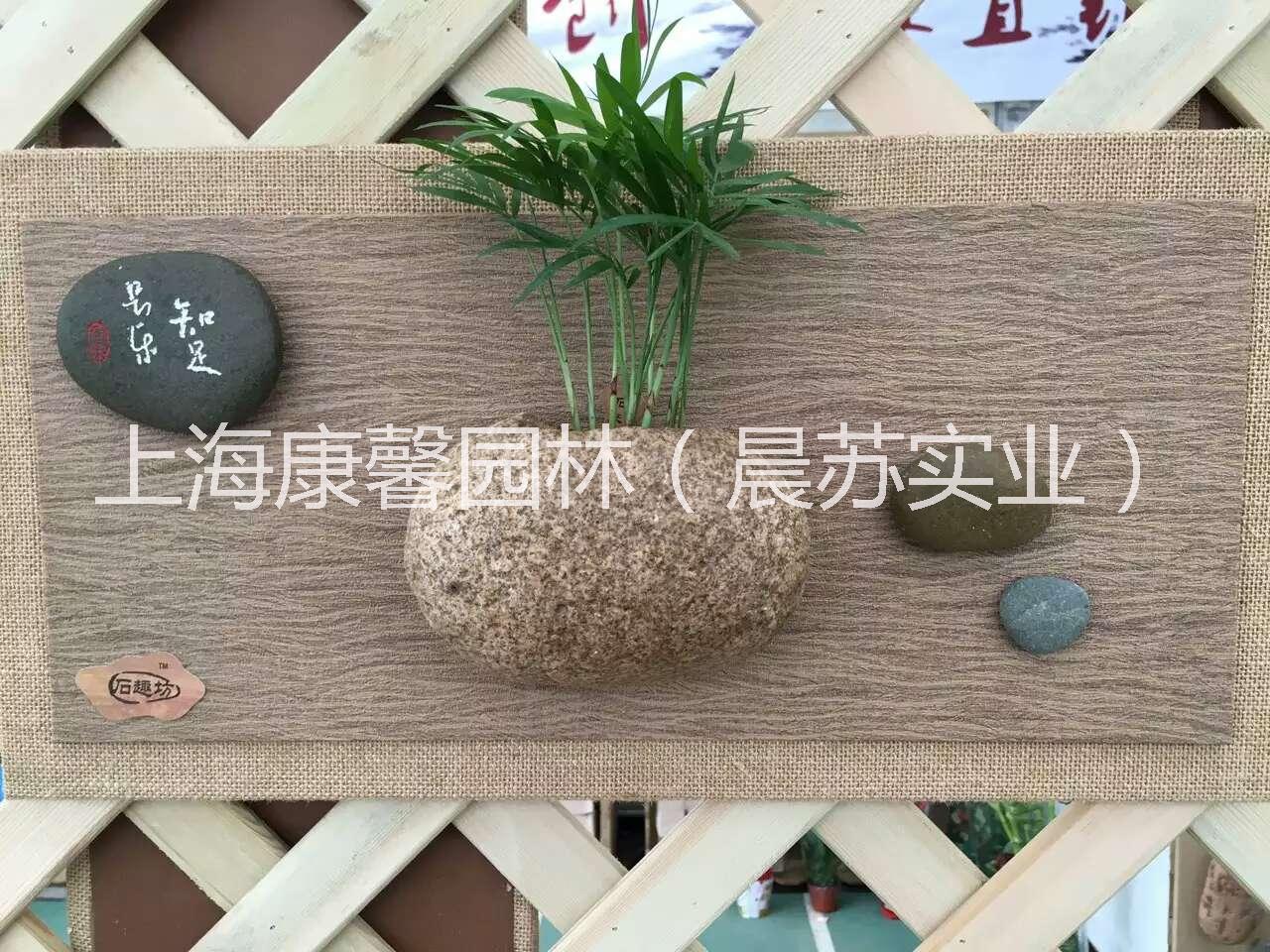 供应壁挂式办公室植物，上海壁挂式办公室植物租赁电话，上海壁挂式办公室植物出租电话