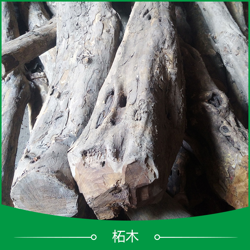 菏泽启林木业供应用于工艺品|木雕的柘木、优质大径柘木|黄金木原木批发图片