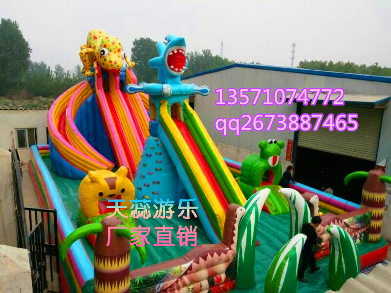 河南郑州天蕊游乐儿童游乐设备充气大城堡充气滑梯小飞鱼沙滩池2016新款