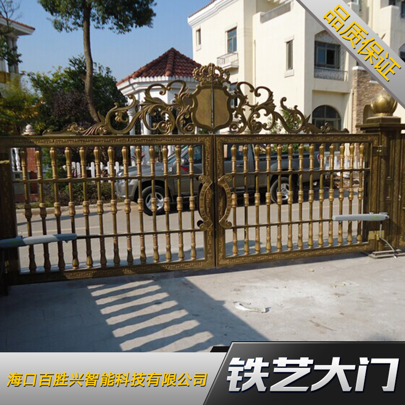 海南铁艺大门、海南铁艺栏栅大门|铁艺栏杆、建筑围墙大门|双开大门图片