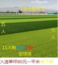 天津市大元人造草坪厂家直销足球场铺装指厂家