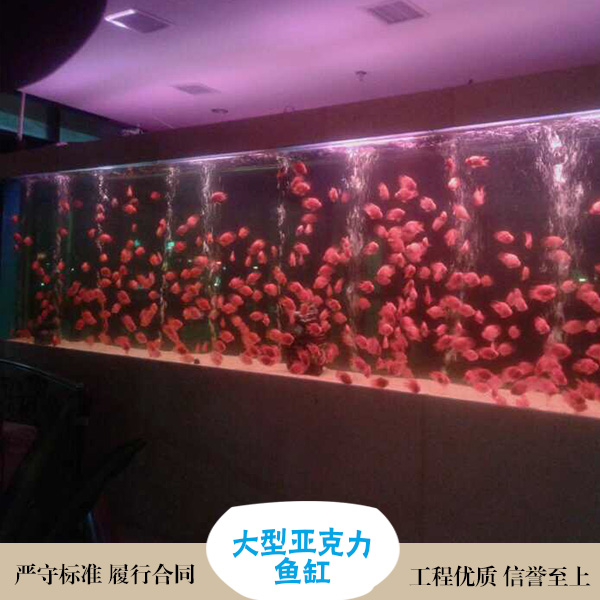 上海专业订制水母鱼缸 嵌入式隔断鱼缸制作 亚克力鱼缸珊瑚鱼缸