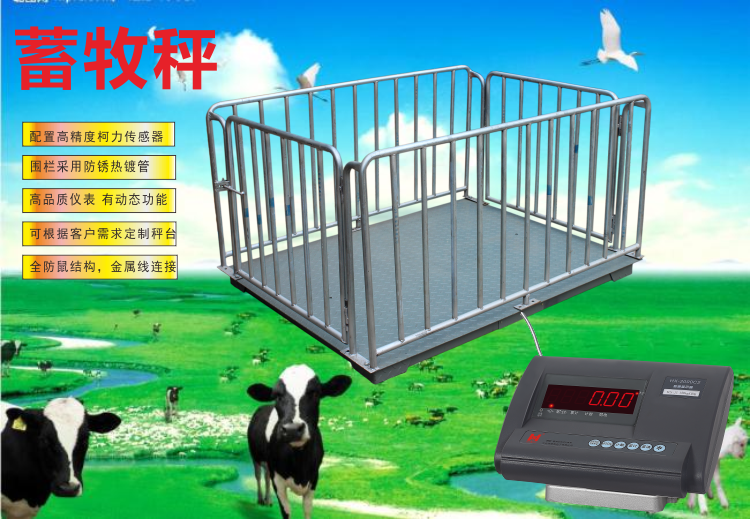 供应贵州猪笼秤价格 1吨畜牧秤厂家养殖场电子磅养猪场地磅批发图片