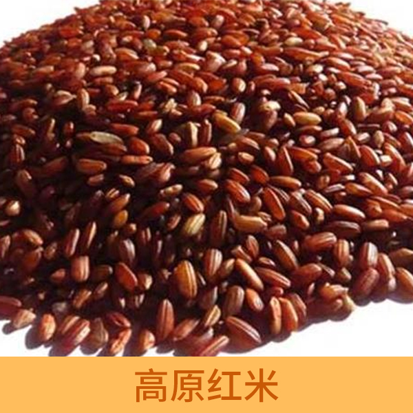 供应高原红米 有机大米批发 高原大米供应商 长腰米价格图片