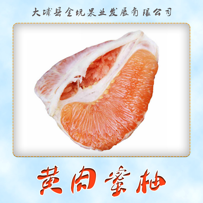 供应用于柚子的黄肉蜜柚 三红蜜柚苗 黄心蜜柚 黄肉蜜图片