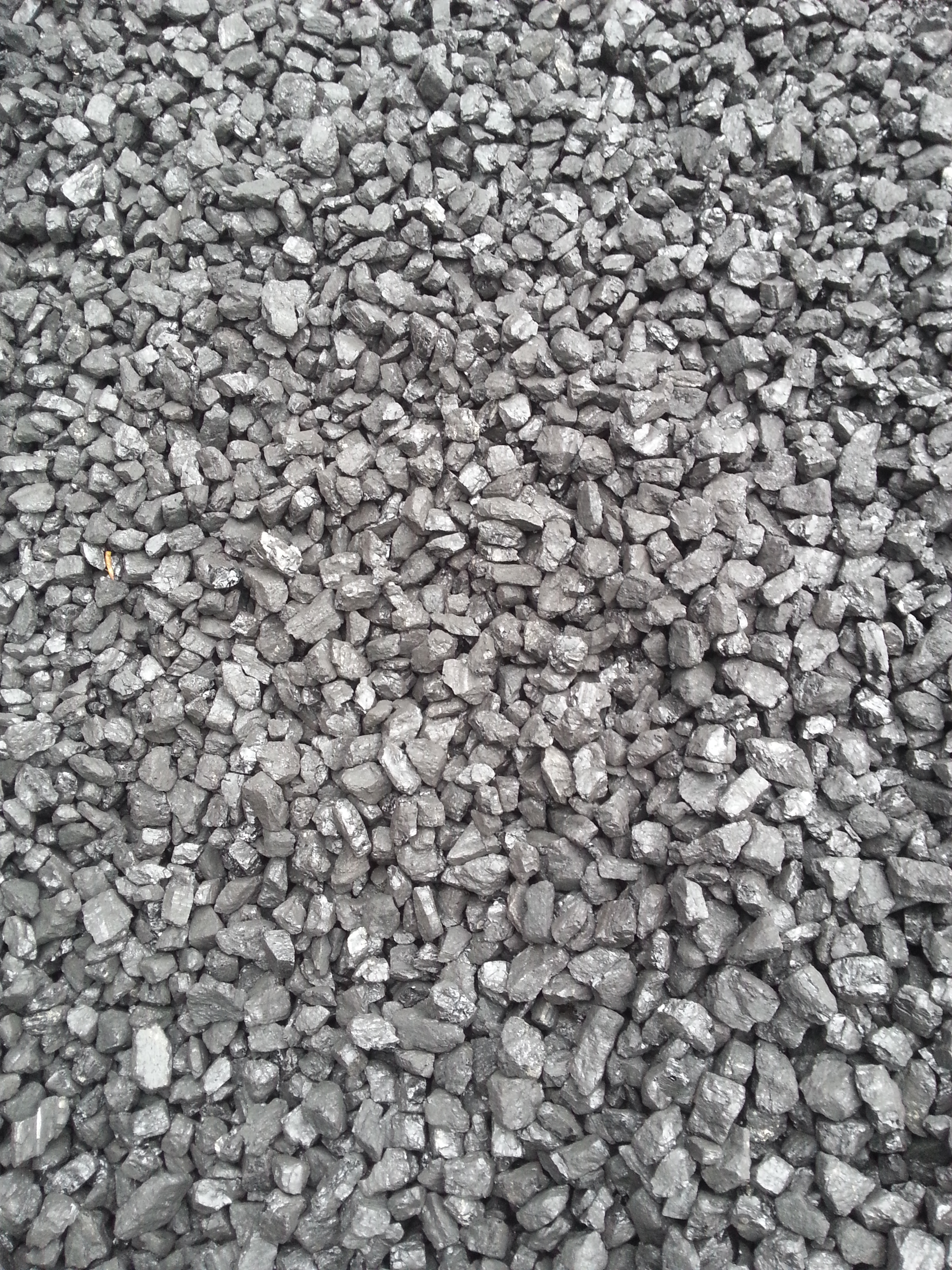 籽煤13籽煤水洗籽煤榆林籽煤高热量籽煤