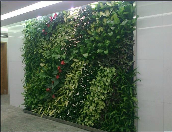 仿真植物墙仿真绿植墙装饰仿真绿植墙定做绿化墙定做仿真草坪绿植装饰背景墙定做 仿真植物墙仿真绿植墙装饰