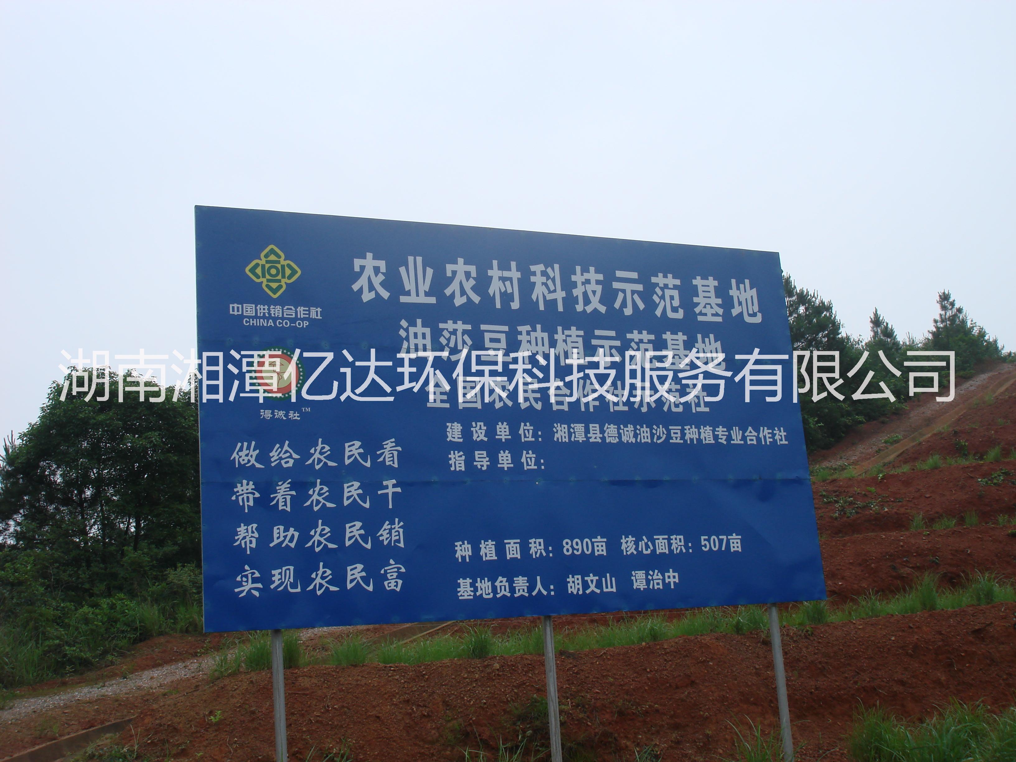 湘潭市供应2016油莎/沙豆种子厂家供应供应2016油莎/沙豆种子