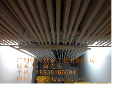 广州冷库 冷冻库设备 冷冻库厂家 冷库定做 销售最低价格图片