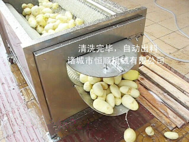 潍坊市果蔬清洗机  清洗机脱皮机厂家