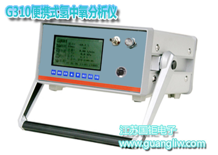 GH1631便携式氢中氧分析仪