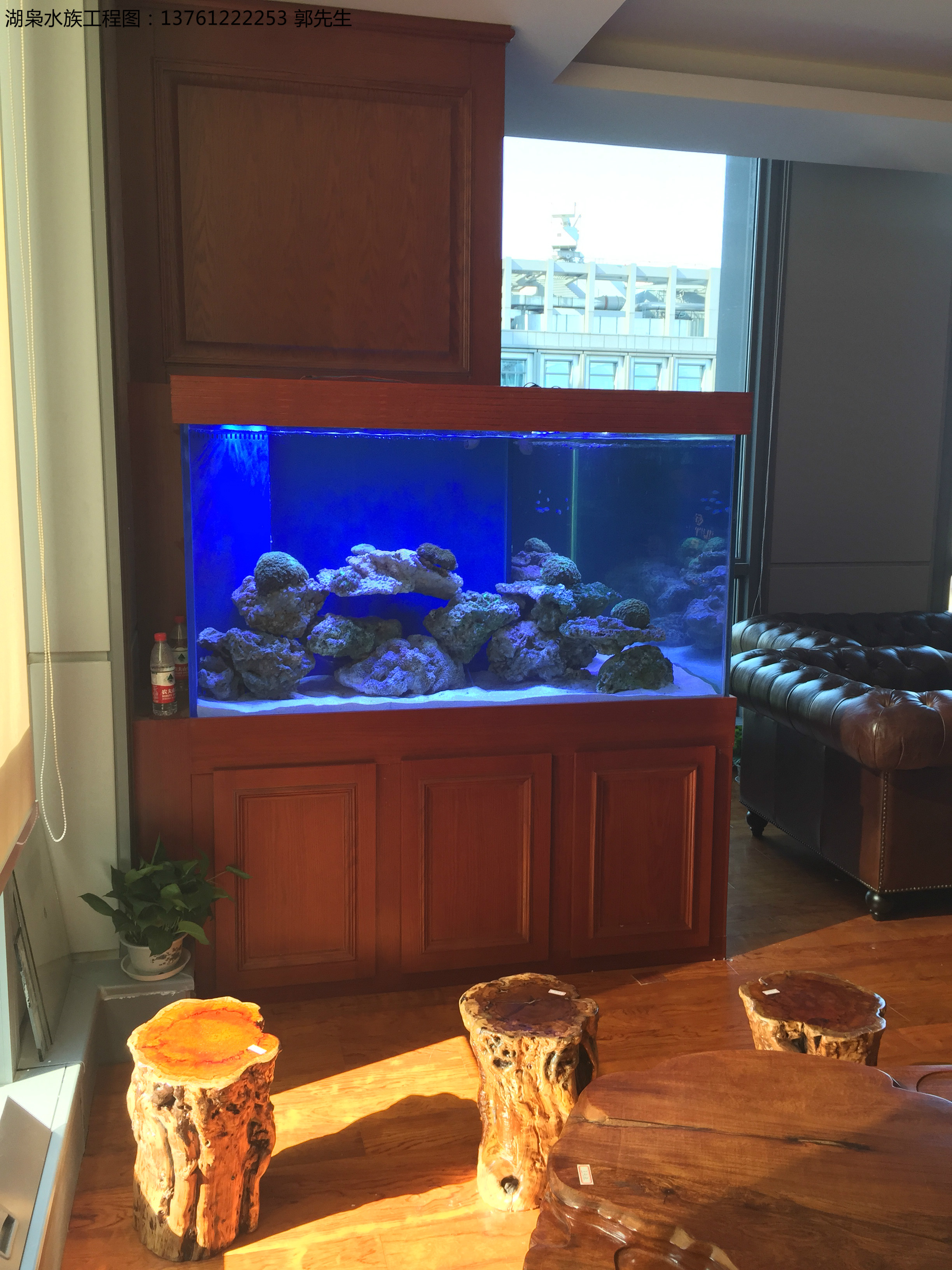 生态观赏鱼缸  厂家定制生态观赏鱼缸  上海水族生态观赏鱼缸图片
