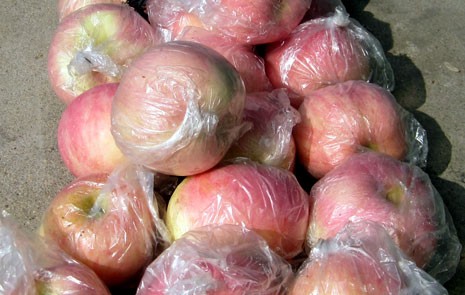 水晶红富士苹果批发多少钱山东红富士苹果价格