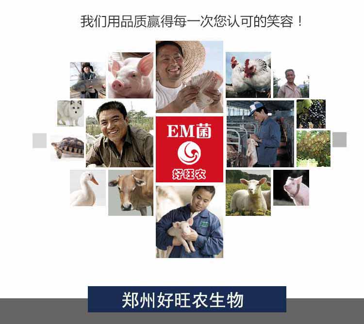 郑州市怎么使用EM菌益生菌养蚕厂家怎么使用EM菌益生菌养蚕