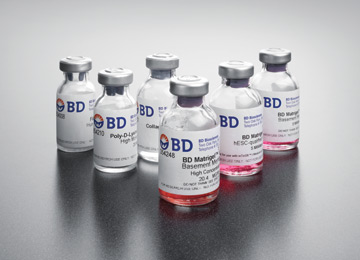 供应Matrigel基质胶 高浓度，低生长因子 BD 354263 10ml 量大优惠 质量保证