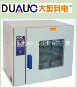 广州市电热恒温干燥箱（DK系列）厂家电热恒温干燥箱（DK系列） 粮食烘焙箱 恒温烘干机 化工物料烤箱