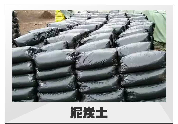 广州成飞泥碳土资材有限公司