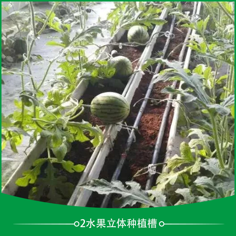 水果立体种植槽 阳台水果立体种植槽 水果pvc种植槽 水果立体栽培槽 温室水果种植设备