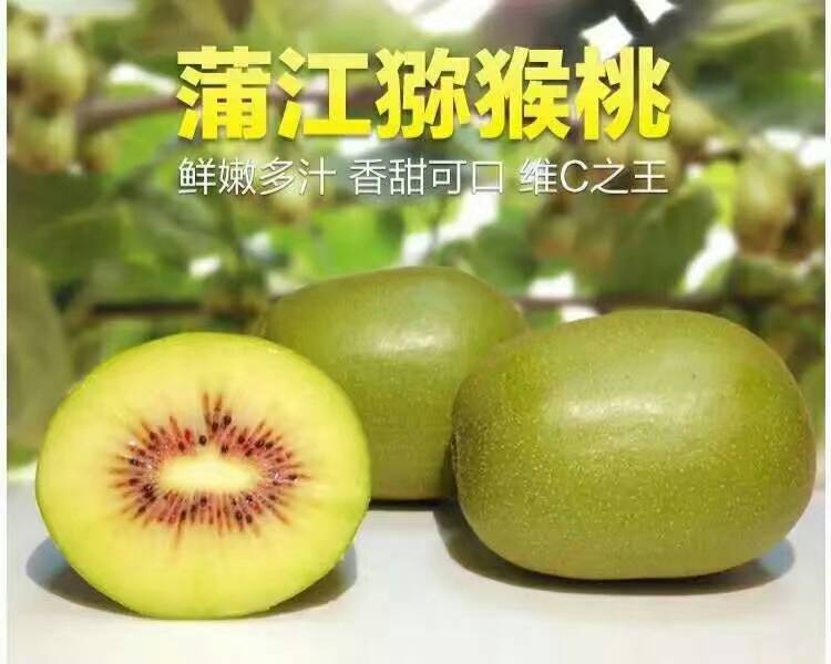 惠州市红阳红心猕猴桃网络订购配送厂家