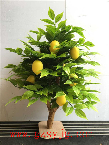 广州圣缘景观仿真柠檬树 柠檬树仿真 人造柠檬树盆栽 居家装饰仿真盆栽