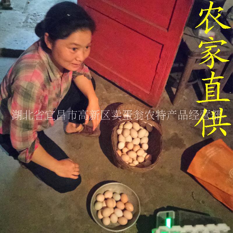 宜昌市正宗土鸡蛋农家林下散养新鲜三峡柴厂家