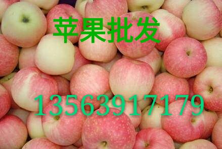 临沂市苹果红富士苹果厂家苹果 红富士苹果 苹果红富士苹果