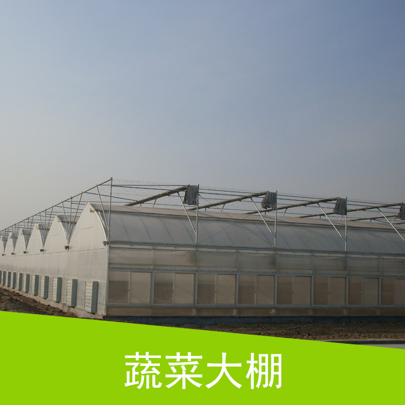 蔬菜大棚 连栋玻璃温室大棚 农业生态大棚 种植大棚 塑料薄膜大棚