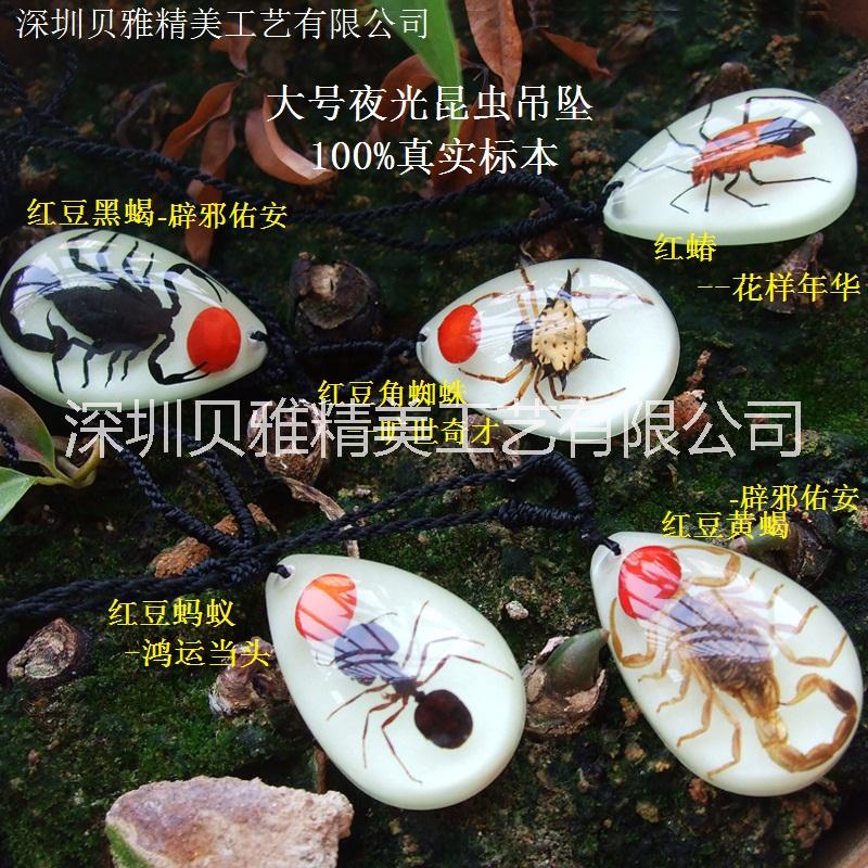 深圳市蝎子彩色胸坠昆虫琥珀特色饰品直销厂家