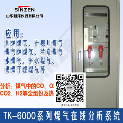 十月促销折扣TK-6000系列促销焦炉煤气氧分析系统不要错过
