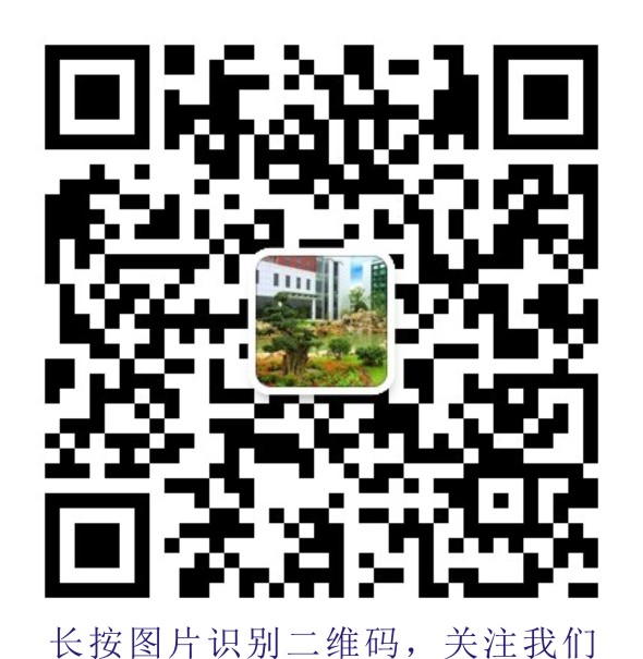广州植物批发 南沙绿化管理 盆景租摆 栽培绿植租摆