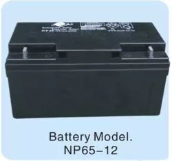 捷隆蓄电池 NP65-12图片