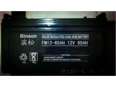 滨松免维护蓄电池FM12-65