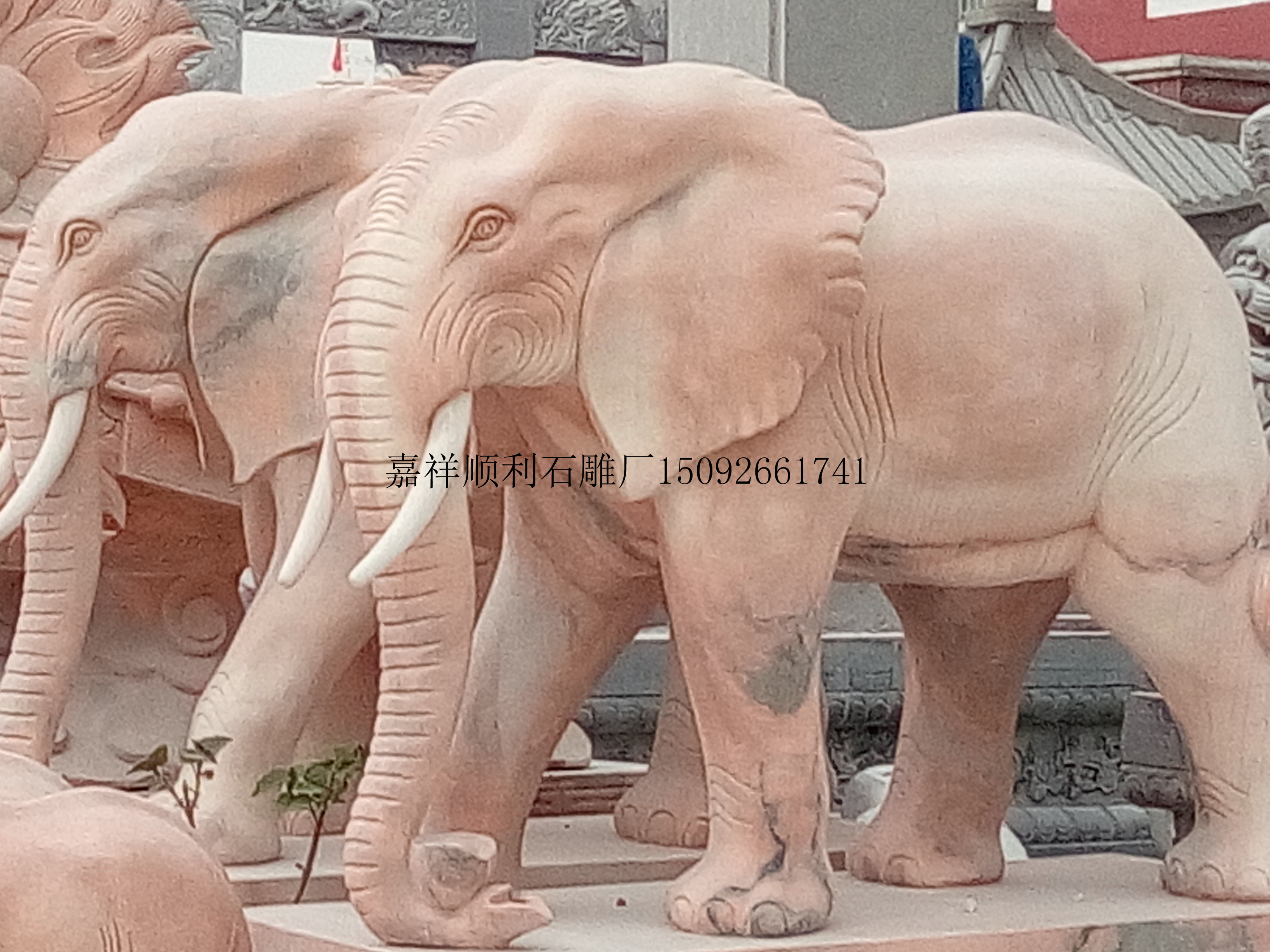济宁市石雕大象石大象价格寺庙石大象大象厂家