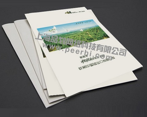 松江企业宣传册设计 叶榭镇样本画册制作 小昆山产品宣传册设计图片
