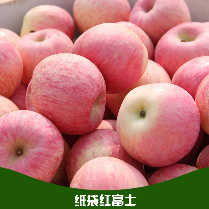 纸袋红富士 苹果销售基地-果园供应红富士苹果-红富士苹果产地