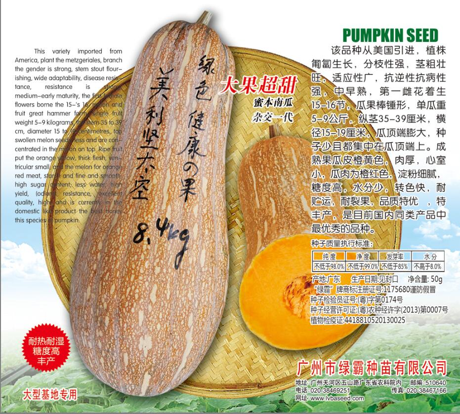 广州市广东南瓜种子厂家报价厂家广东南瓜种子厂家报价电话 南瓜种子图片 南瓜种子出售