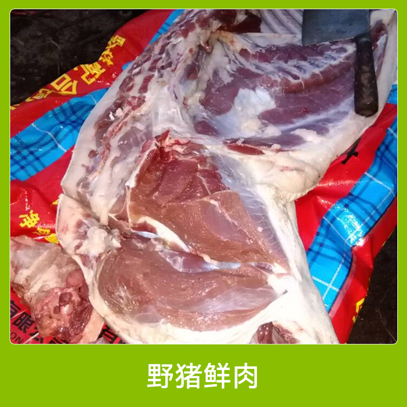 安徽野猪鲜肉 原生态养殖野猪鲜肉 新鲜野味特种野猪鲜肉 生鲜野猪肉