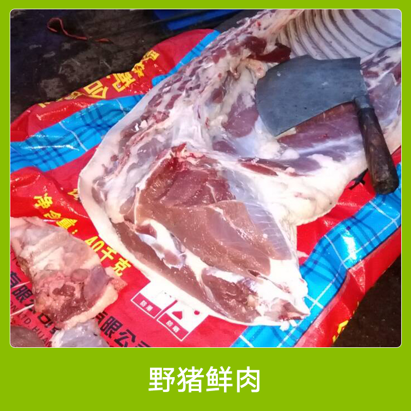 安徽特种野猪鲜肉 原生态养殖优质野猪鲜肉 新鲜野味特种野猪鲜肉