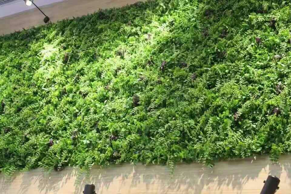 仿真绿植墙定做绿化墙定做仿真草坪绿植装饰背景墙定做 仿真植物墙仿真绿植墙装饰