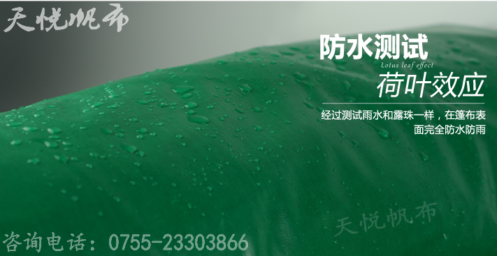 供应杭州篷布厂供应南韩篷布篷布防水帆布， 广东帆布防水生产厂家