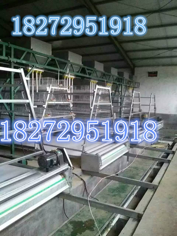 华顺牧业设备厂家供应自动化鸡笼。批发