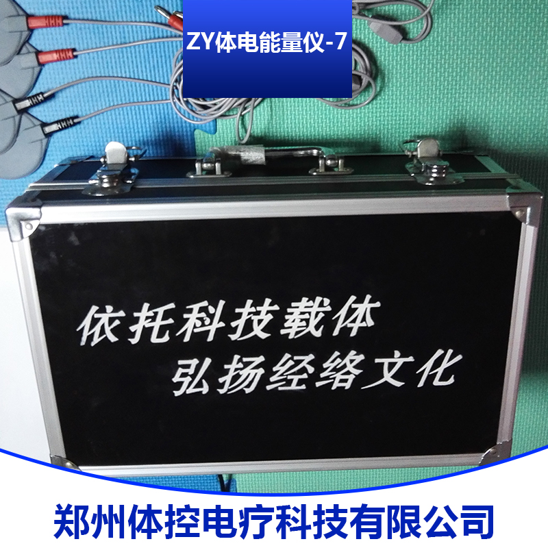 ZY体电能量仪-7 ZY体电能量仪-7供应商 ZY体电能量仪-7直销 ZY体电能量仪-7价格图片
