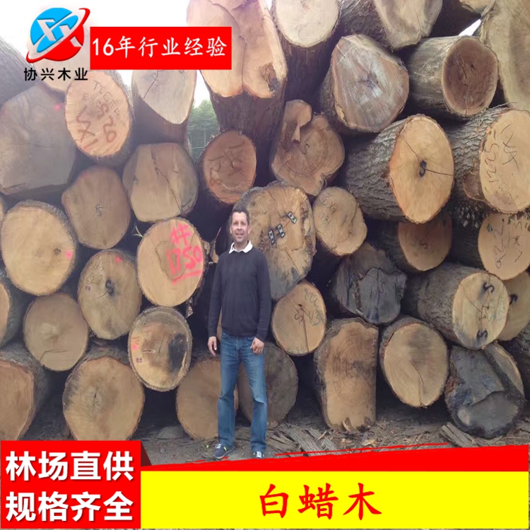 供应欧洲进口优质白蜡木（水曲柳）原木木板材图片