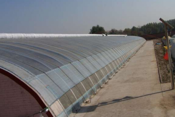 北京顺义区日光温室大棚建设造价钢管蔬菜大棚多少钱一亩