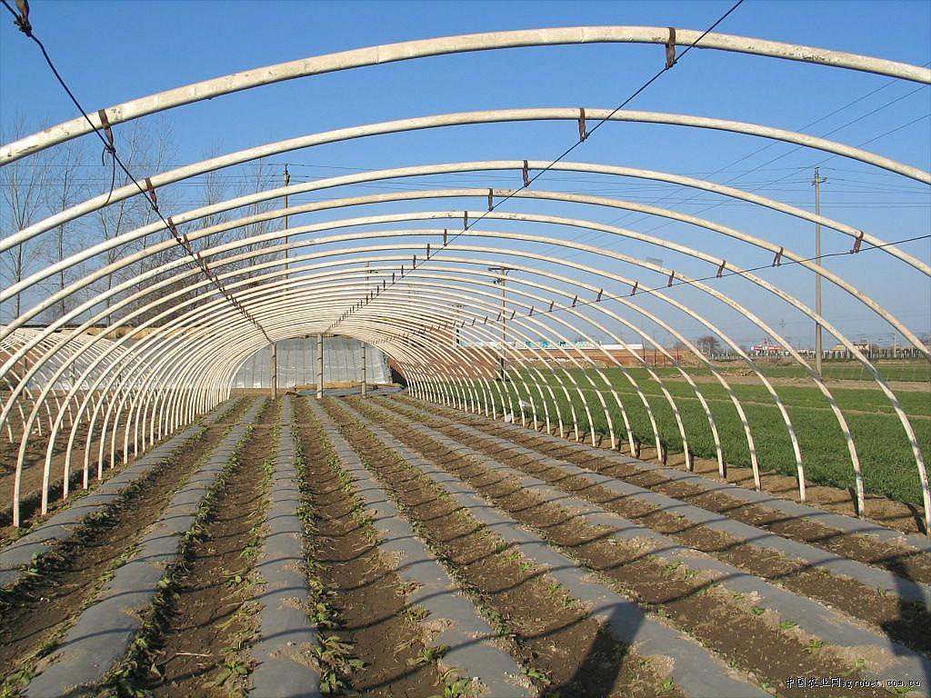 北京周边建造大小温室大棚蔬菜大棚批发