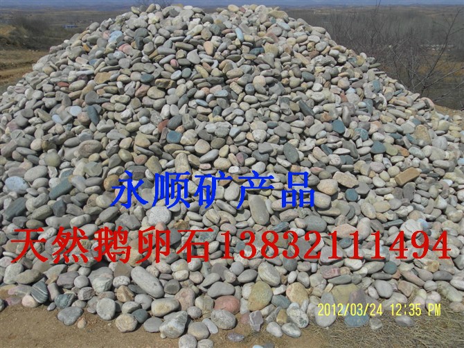 白色鹅卵石多少钱一吨厂家直销白色鹅卵石，3-5厘米白色鹅卵石多少钱一吨