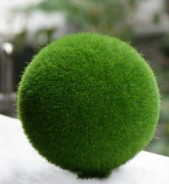 厂家批发万汇达提供订做Grass Land人造草 绿色装饰草球