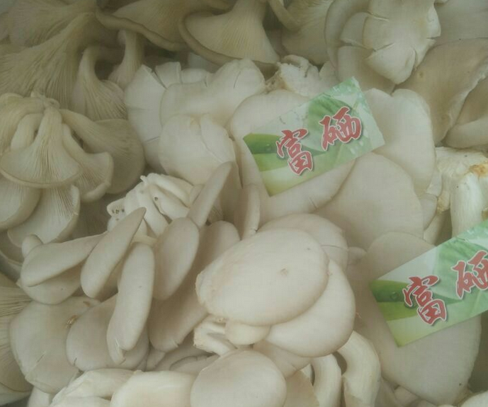 辽宁省富硒蘑菇种植   富硒蘑菇批发