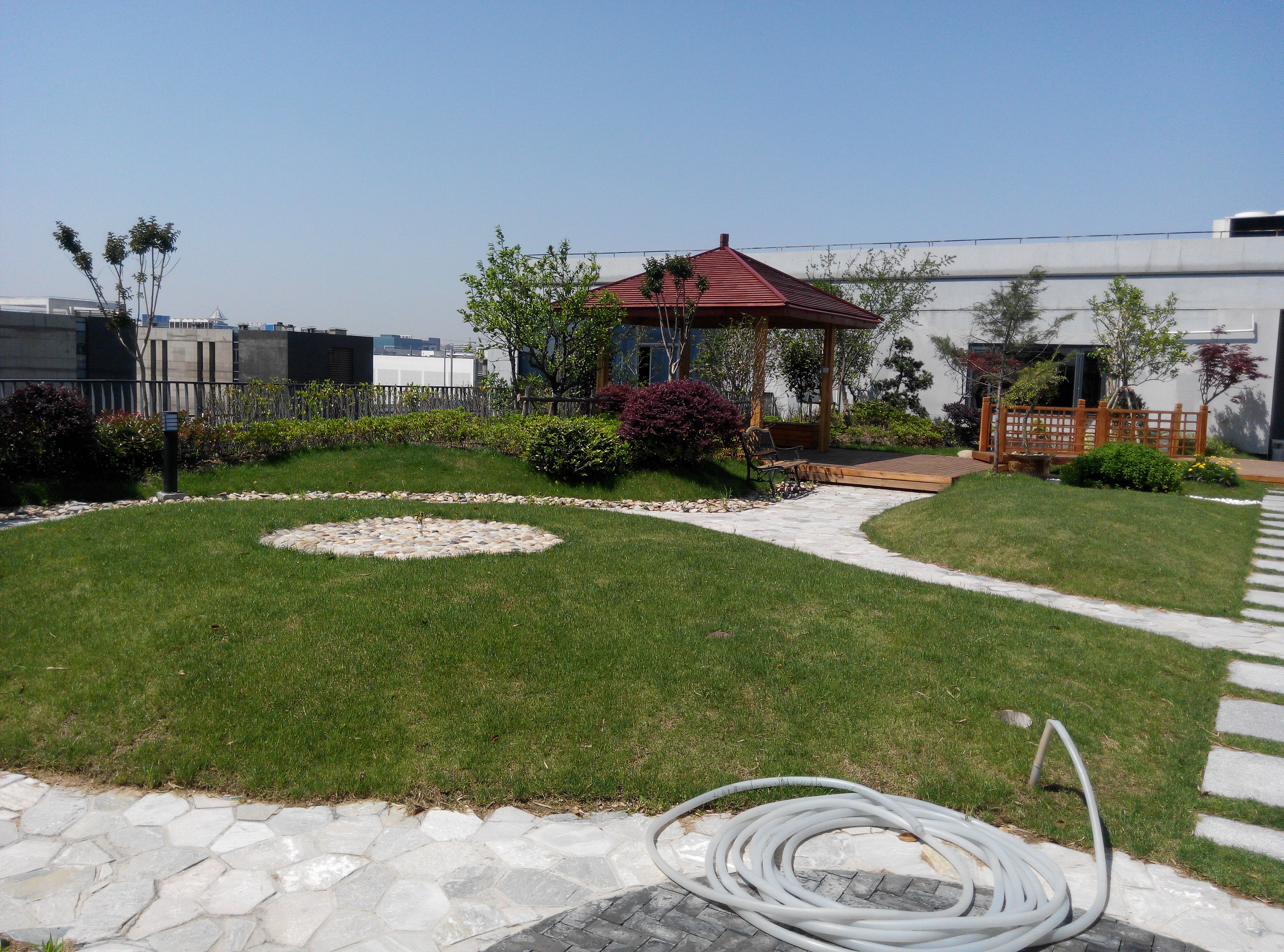 别墅庭院景观绿化工程花园设计草皮上海南汇别墅庭院景观绿化工程花园设计草皮(草坪)种植翻新修剪养护工程